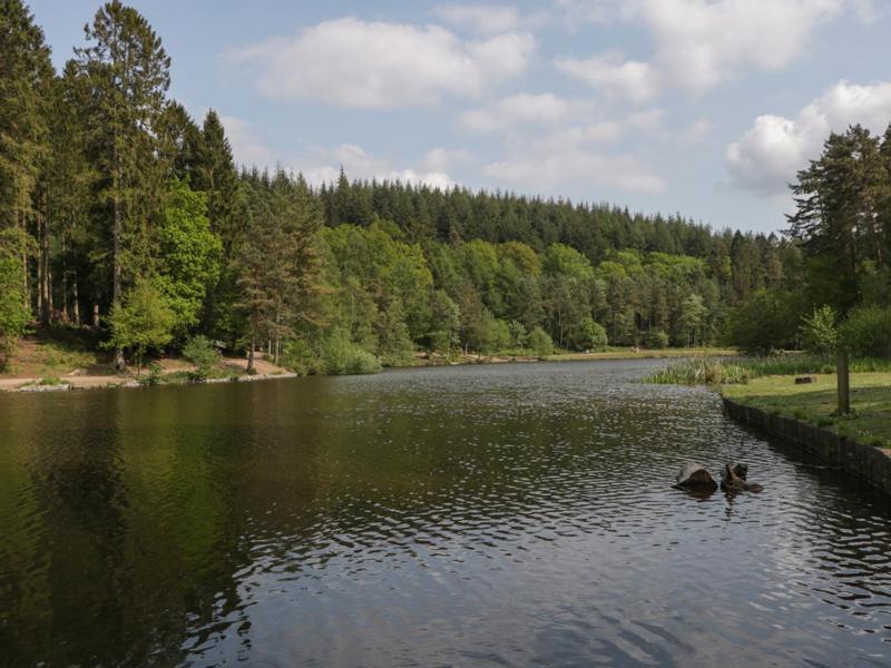 The Forest Coach House Cinderford المظهر الخارجي الصورة