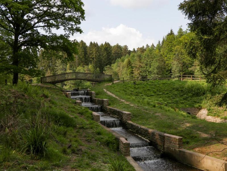The Forest Coach House Cinderford المظهر الخارجي الصورة