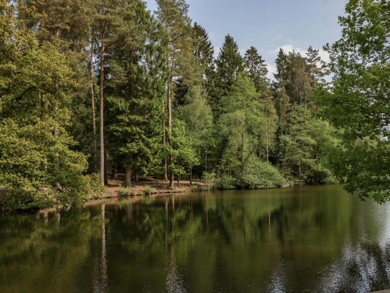 The Forest Coach House Cinderford المظهر الخارجي الصورة