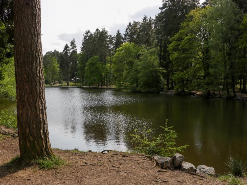 The Forest Coach House Cinderford المظهر الخارجي الصورة